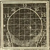 An illustration from A system of phrenology (1835)