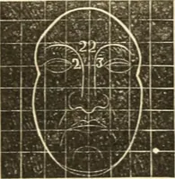 An illustration from A system of phrenology (1835)