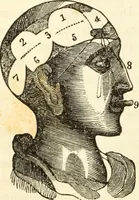 An illustration from A system of phrenology (1835)