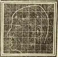 An illustration from A system of phrenology (1835)