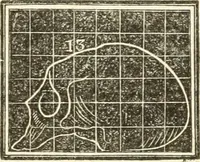 An illustration from A system of phrenology (1835)