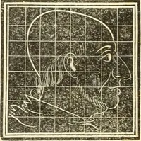 An illustration from A system of phrenology (1835)