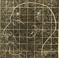 An illustration from A system of phrenology (1835)