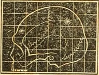 An illustration from A system of phrenology (1835)