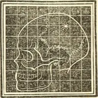 An illustration from A system of phrenology (1835)