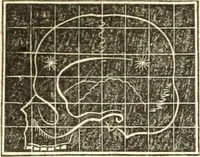 An illustration from A system of phrenology (1835)