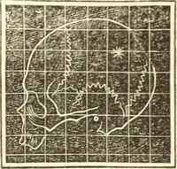 An illustration from A system of phrenology (1835)