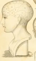 An illustration from A system of phrenology (1835)