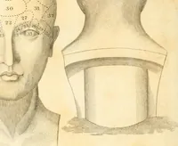 An illustration from A system of phrenology (1835)