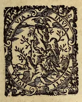 An illustration from Systema compendiosum totius mathematices, hoc est, geometriæ, opticæ, astronomiæ et geographiæ, (1621)
