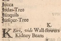 An illustration from Systema horti-culturæ, or, The art of gardening : in three books ... : illustrated with sculptures, representing the form of gardens, according to the newest models (1688)