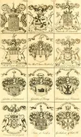 An illustration from A system of heraldry : speculative and practical : with the true art of blazon, according to the most approved heralds in Europe : illustrated with suitable examples of armorial figures, and achievements of the most considerable surnames and families in Scotland, &c. : together with historical and genealogical memorials relative thereto (1804)