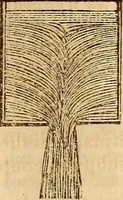 An illustration from A system of natural philosophy, designed for the use of schools and academies (1845)
