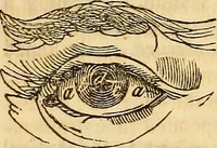 An illustration from A system of natural philosophy, designed for the use of schools and academies (1845)
