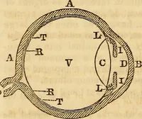 An illustration from A system of natural philosophy, designed for the use of schools and academies (1845)