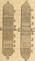 Picture 96 of 115 from A system of natural philosophy, designed for the use of schools and academies (1845), leaf 394