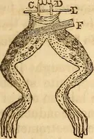 An illustration from A system of natural philosophy, designed for the use of schools and academies (1845)