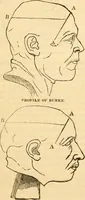 An illustration from A system of phrenology (1830)