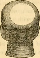 Picture 14 of 35 from A system of phrenology (1830), leaf 138