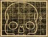 Picture 19 of 35 from A system of phrenology (1830), leaf 242