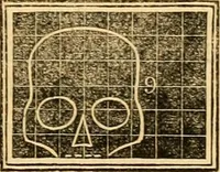 Picture 20 of 35 from A system of phrenology (1830), leaf 242