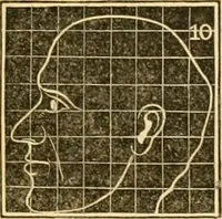 Picture 21 of 35 from A system of phrenology (1830), leaf 254