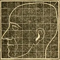 Picture 22 of 35 from A system of phrenology (1830), leaf 254