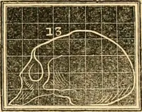 Picture 26 of 35 from A system of phrenology (1830), leaf 282