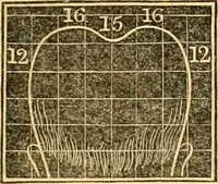 Picture 27 of 35 from A system of phrenology (1830), leaf 320