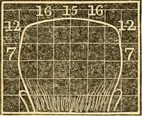 Picture 28 of 35 from A system of phrenology (1830), leaf 320