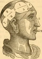 An illustration from A system of phrenology (1830)
