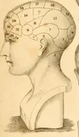 An illustration from A system of phrenology (1830)