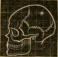 Picture 34 of 35 from A system of phrenology (1830), leaf 638