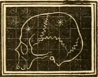 Picture 35 of 35 from A system of phrenology (1830), leaf 640
