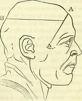 Picture 9 of 51 from A system of phrenology (1839), leaf 101