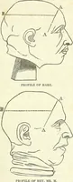 An illustration from A system of phrenology (1839)