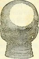 Picture 11 of 51 from A system of phrenology (1839), leaf 130