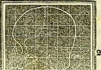 An illustration from A system of phrenology (1839)