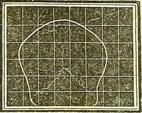 Picture 14 of 51 from A system of phrenology (1839), leaf 171
