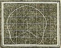 An illustration from A system of phrenology (1839)