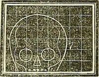 An illustration from A system of phrenology (1839)