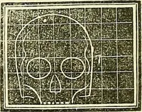 An illustration from A system of phrenology (1839)