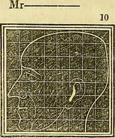 An illustration from A system of phrenology (1839)