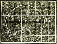 An illustration from A system of phrenology (1839)