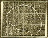 An illustration from A system of phrenology (1839)
