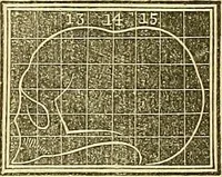 An illustration from A system of phrenology (1839)