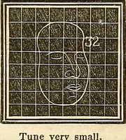 An illustration from A system of phrenology (1839)