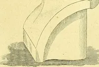 An illustration from A system of phrenology (1839)