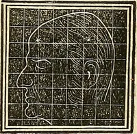 An illustration from A system of phrenology (1839)