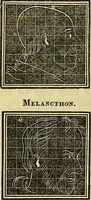 Picture 42 of 51 from A system of phrenology (1839), leaf 563